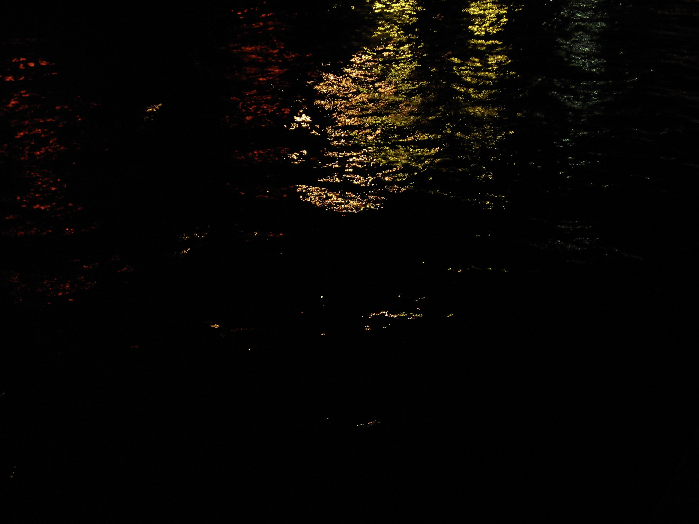 NIGHT SEINE 2005