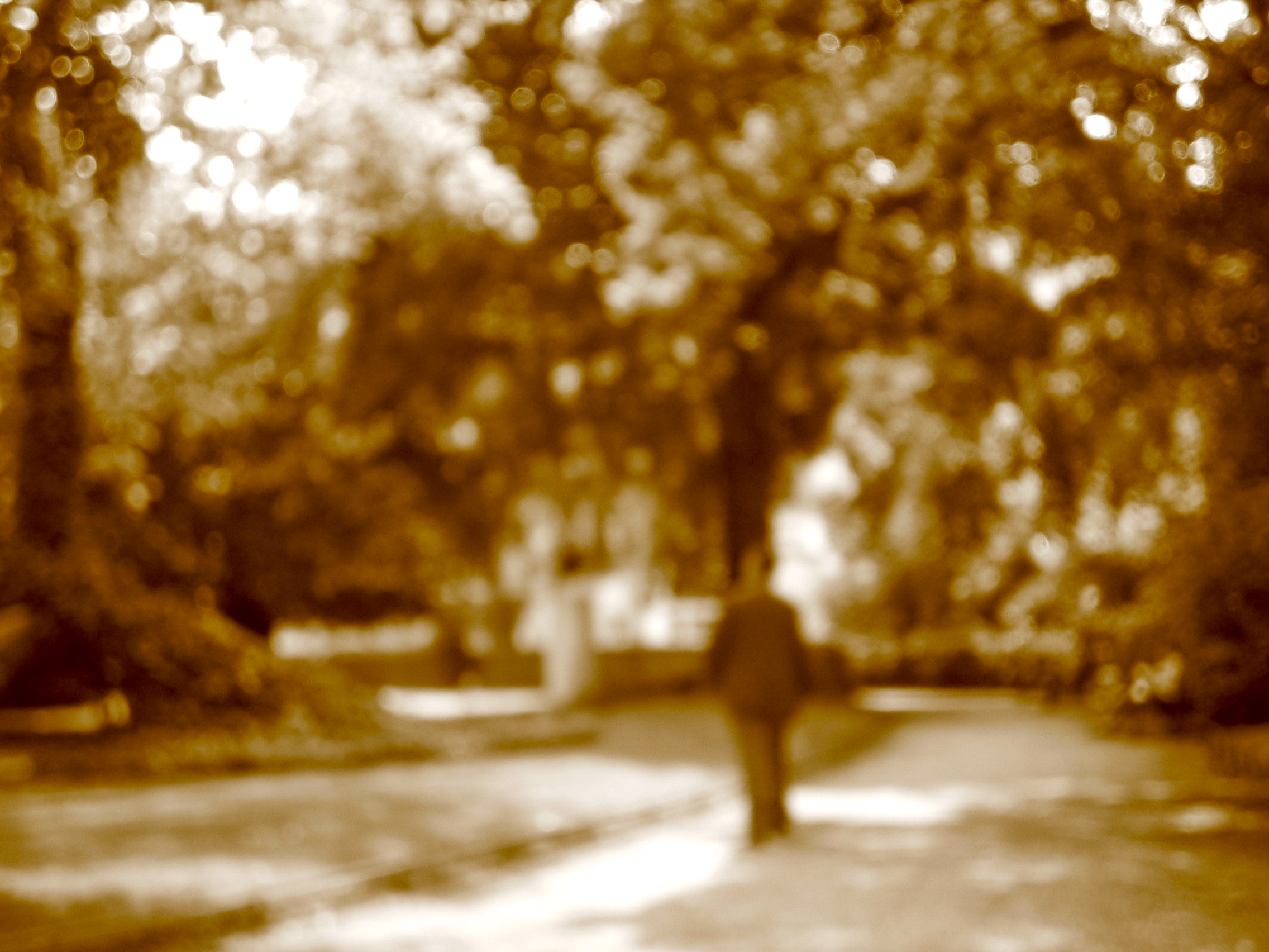 PARIS PARK 2005