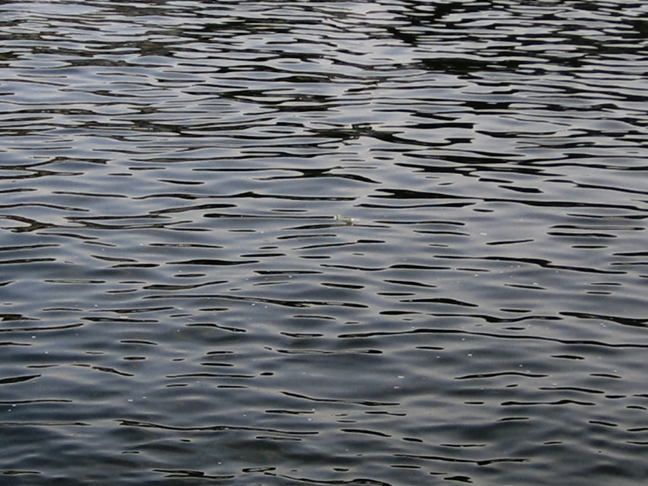 DAY SEINE 2005