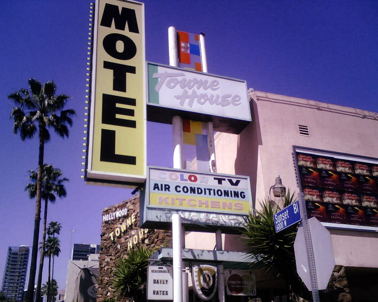 Signs 2007