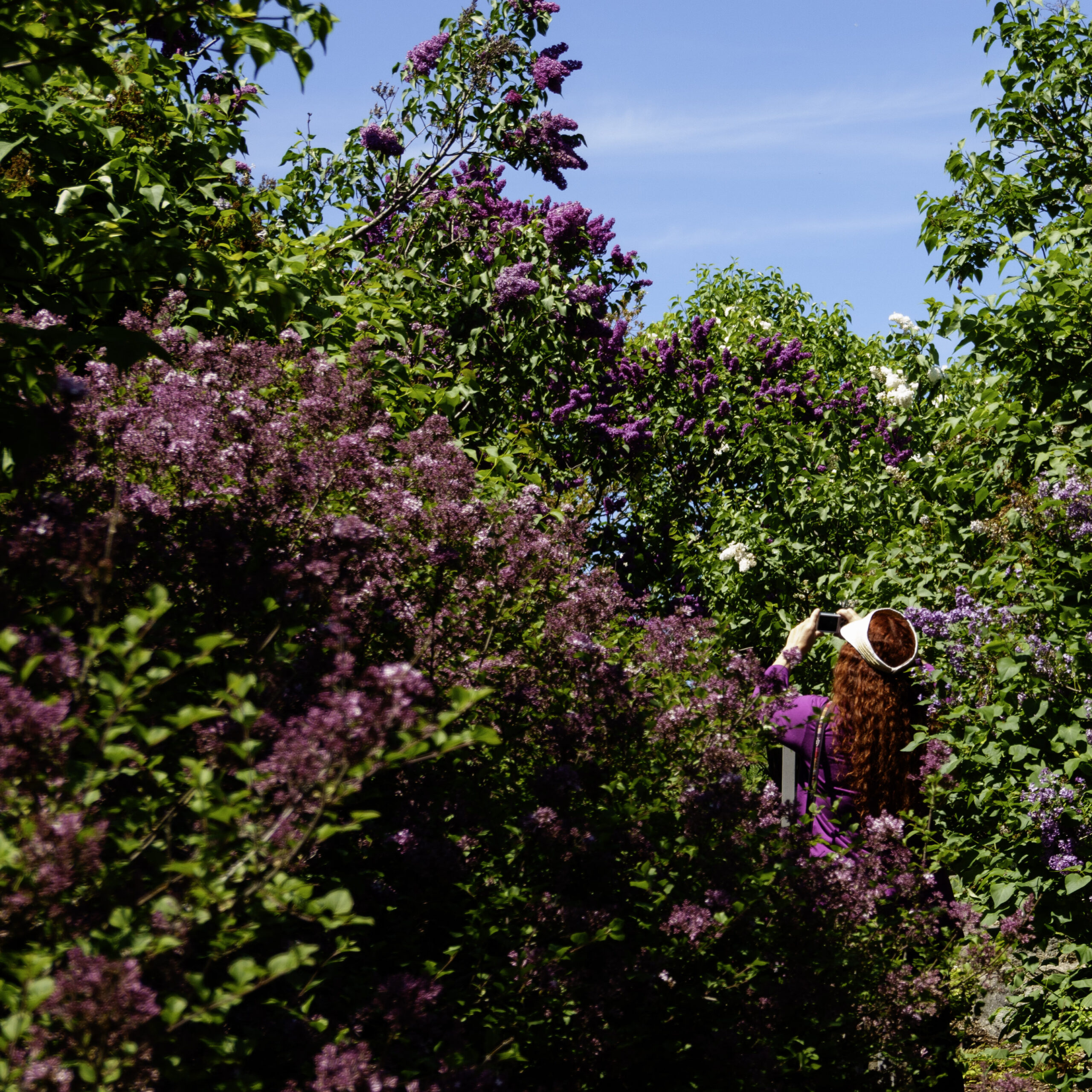 New York Botanical Garden 2021